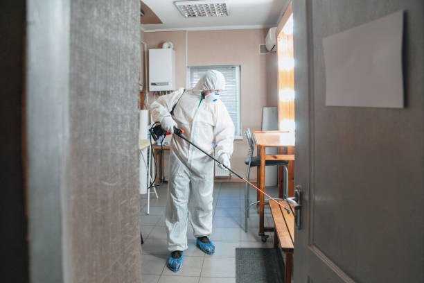 Professional Mold Removal in Suffield Depot, CT